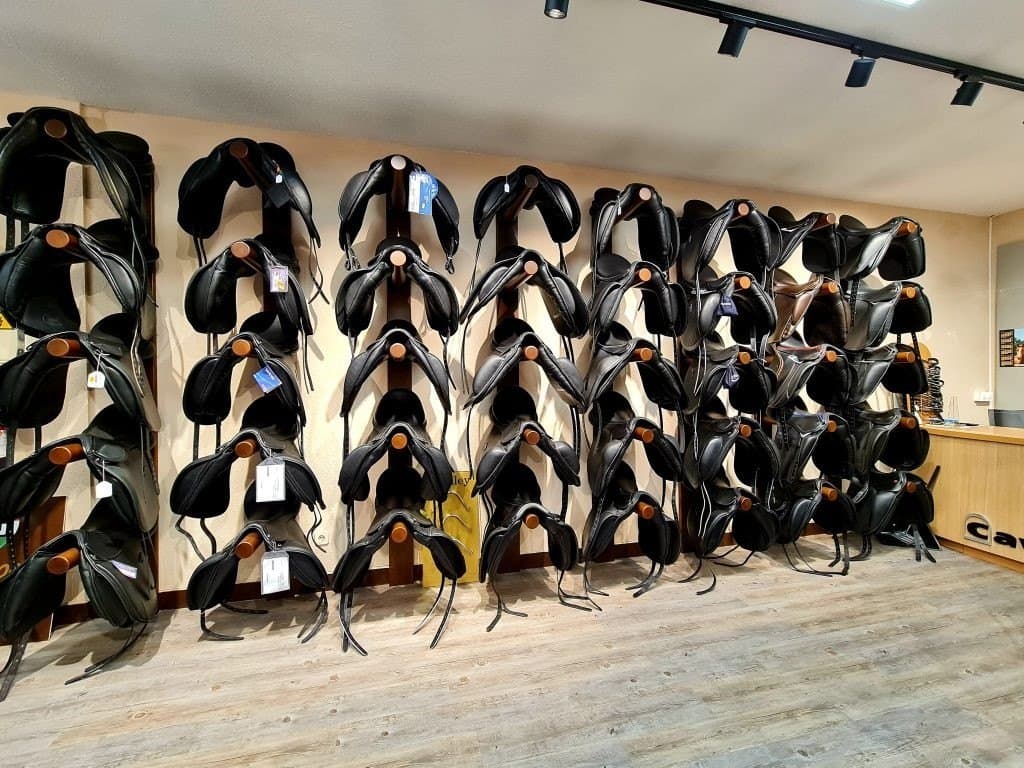 Mundo ecuestre - Imagen 2