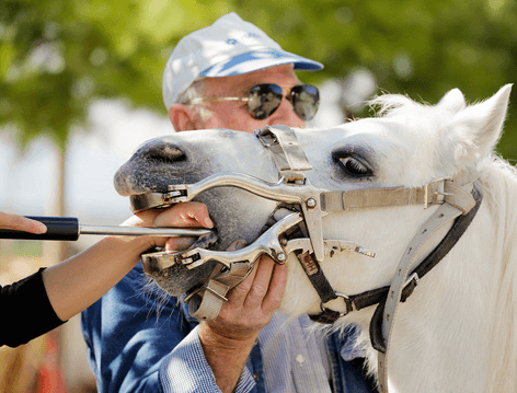 Test Publicar 01 - Editar - Imagen 4