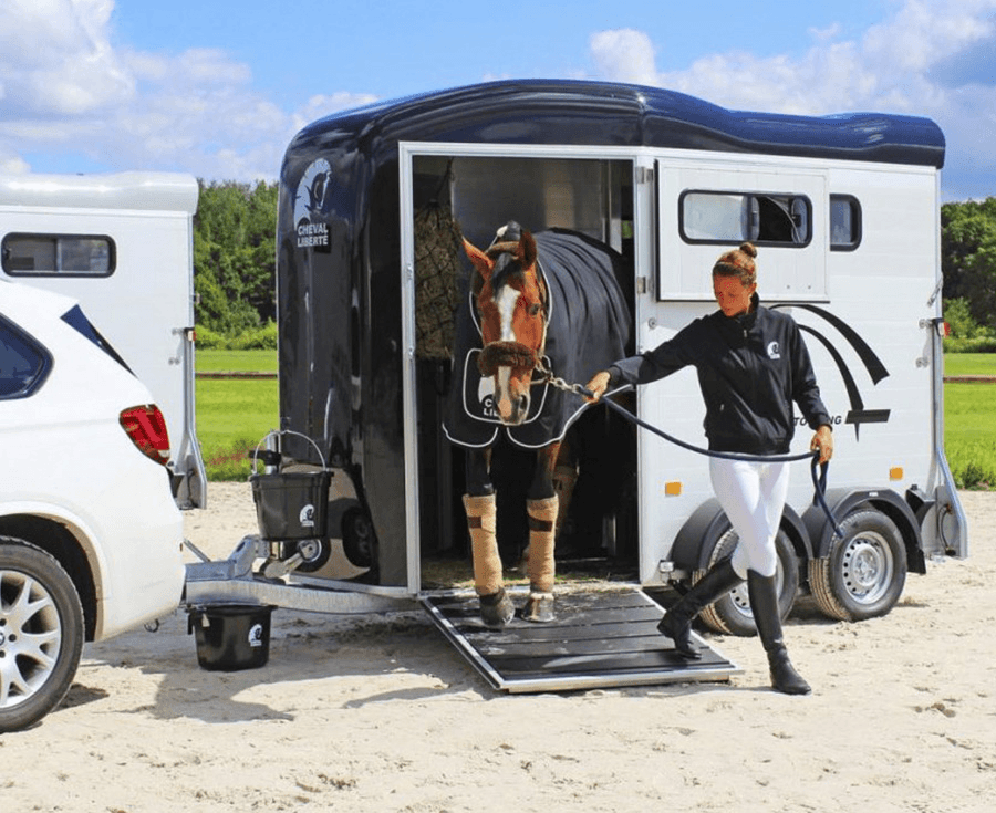 Test Publicar 01 - Imagen 3