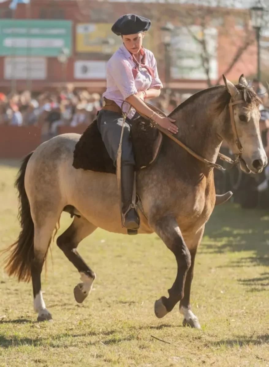 El Gran Cabalo - Imagen 1