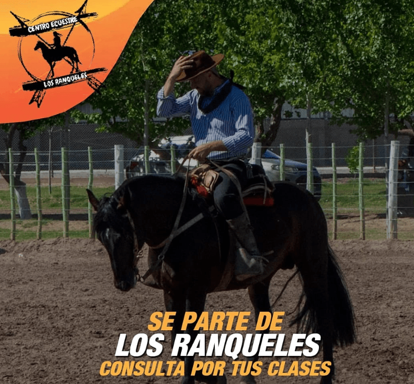 Test Raza 01 - Imagen 3