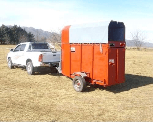 Test Pelaje 01 - Imagen 4