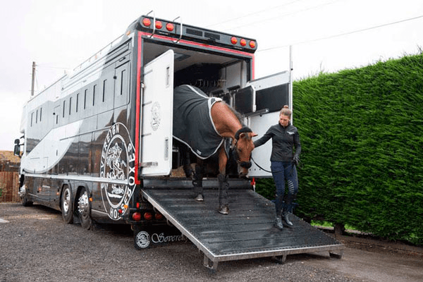 Test Pelaje 01 - Imagen 5